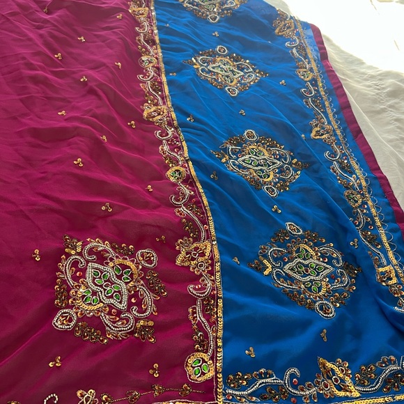 Sari - Picture 7 of 7